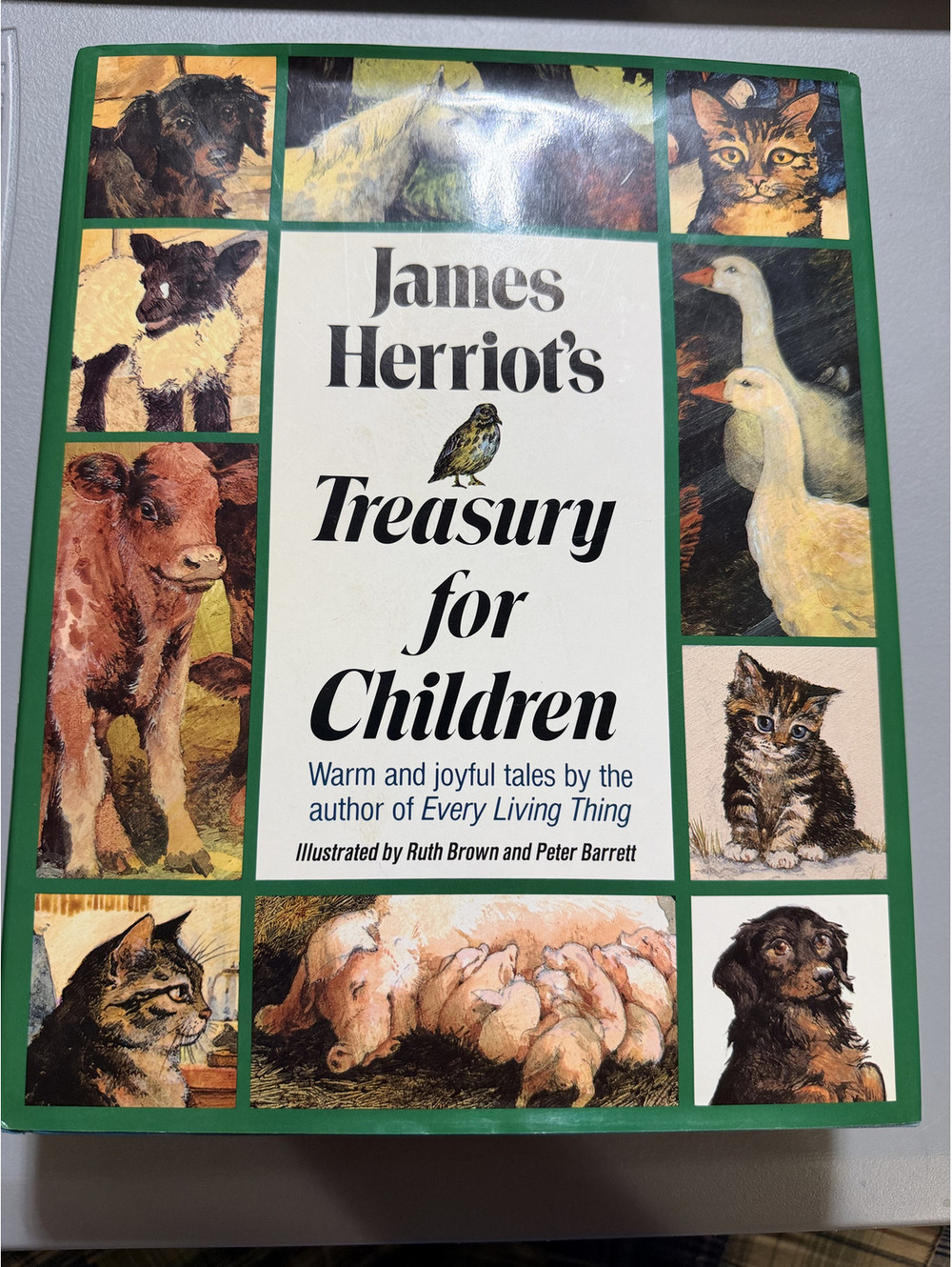 James Herriot's Treasury for Children Ruth Brown Illustrated Hardcover Book DJ
